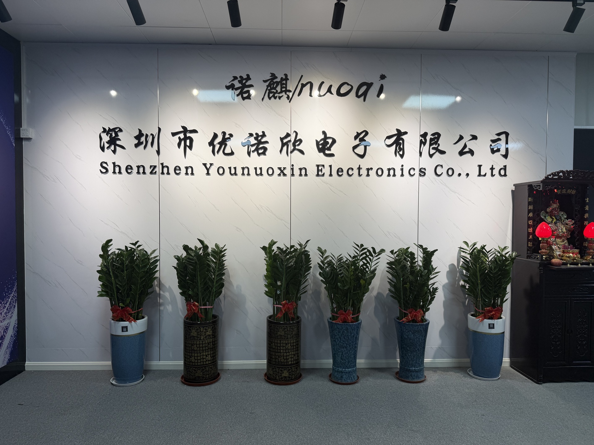 Shenzhen Younuoxin Electronics Co., Ltd. logo
