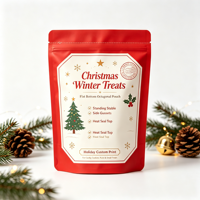 Pochette de Noël personnalisée professionnelle, résistante à l'humidité, en BOPP refermable avec fermeture éclair, pour chocolats, noix, biscuits, emballage cadeau de Noël