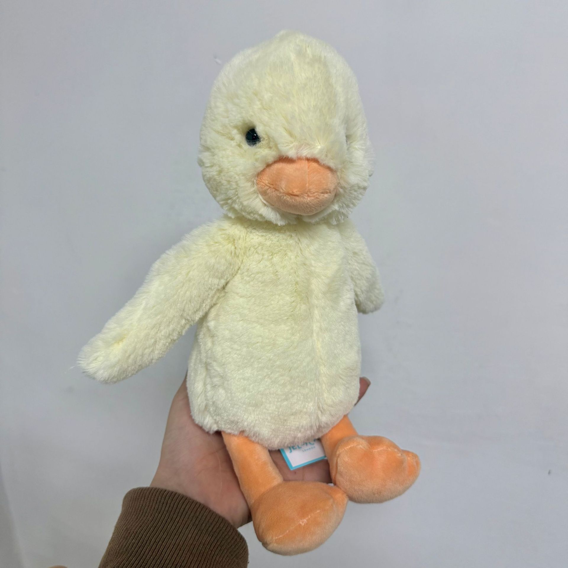 Petit canard timide-édition privée