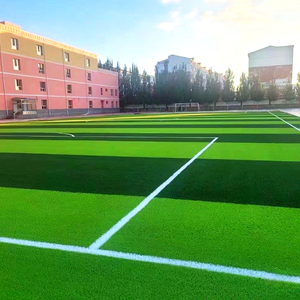 Césped Artificial Deportivo Profesional de Alta Densidad Personalizado OEM ODM, Césped Sintético para Fútbol para Uso en Campos Deportivos - Product Image 1