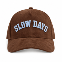 Casquette de baseball unisexe en daim et velours, structurée, respirante, brodée en 3D, conforme aux normes CE et REACH, style skate surf streetwear, OEM.
