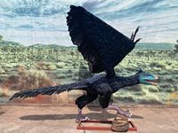 Park satışı için yapay Animatronic arkaeopteryx kuş modeli