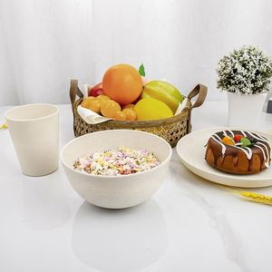 24 Platos Ecológicos de Paja de Trigo, Platos Biodegradables para Niños, Vajilla Infantil, Juego de Platos para la Cena - Product Image 4