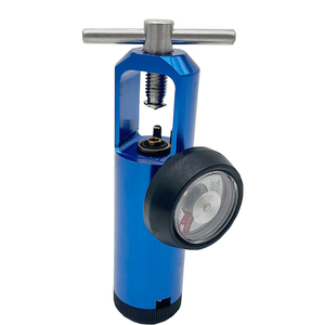 <span class=keywords><strong>CGA</strong></span> <span class=keywords><strong>870</strong></span> Sauerstoff druckregler mit Durchfluss messer für Sauerstoff tank und Ozon generator - Product Image 2