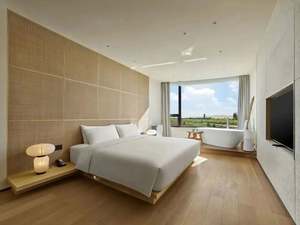 Professional One-Stop Luxury Eco-Friendly Contemporary Whole House 3D Rendering Interior Design Graphic Design for Luxury Villas - Product Image 4