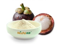 Jus de Mangoustan Naturel Séché par Pulvérisation en Poudre pour Boisson Gâteau Pain Crème Glacée Smoothies Yaourt Pudding Dessert Usine BRC