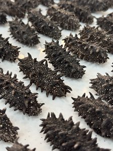 Cetriolo di Mare di Alta Qualità Pronto da Mangiare, Confezione Regalo per Anno Nuovo per Anziani e Amici - Product Image 2