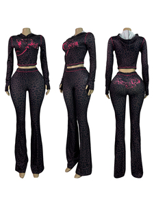 E5071-2026 Abbigliamento di Tendenza, Set Due Pezzi con Felpa Leopardata a Maniche Lunghe, Tuta da Donna - Product Image 3