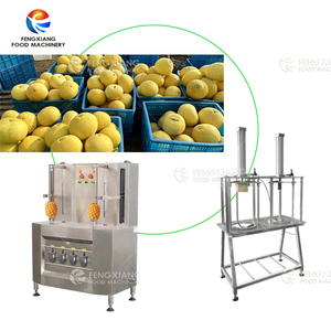 Máquina peladora de sandía y piña de calabaza Industrial, peladora automática de Jaca de piña, máquina peladora de Corina - Product Image 2