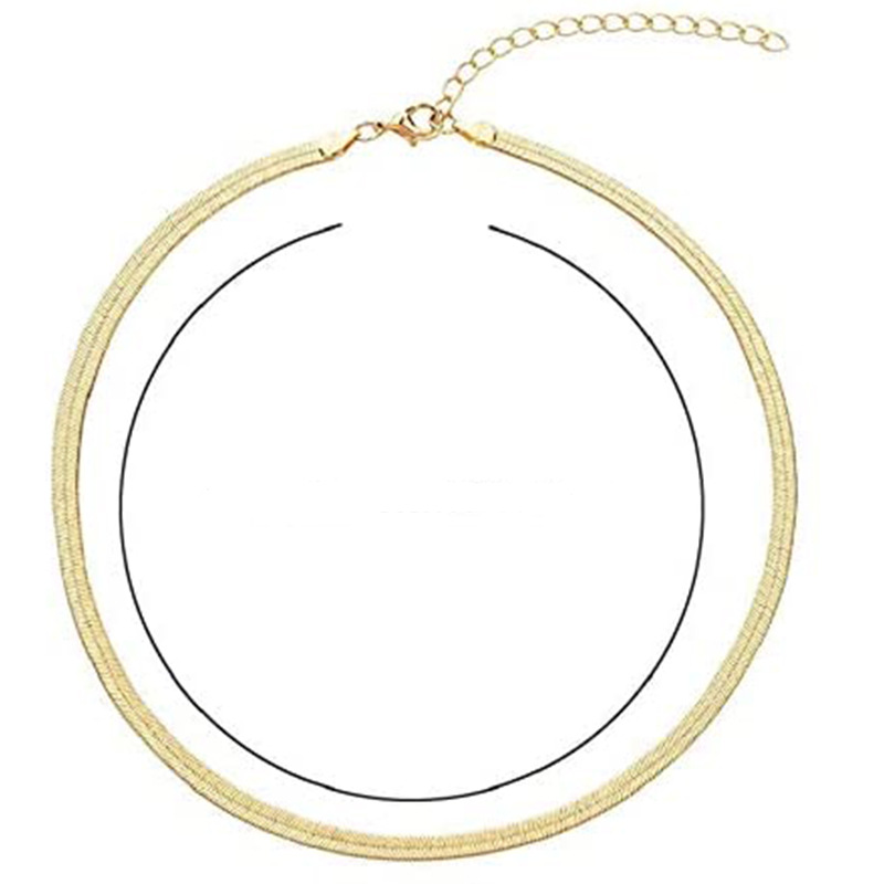 Double Flat Snake Chain Paper Clip Necklace Stainless Steel Snake Bone Necklace European and American Fashion Color Preserving P