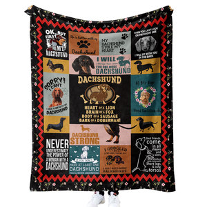 Großhandel Custom <span class=keywords><strong>NFL</strong></span> Throw Fleece Decke Niedriger Preis Foto gedruckt Schule Logo Cheerleading Fuzzy Decke - Product Image 1