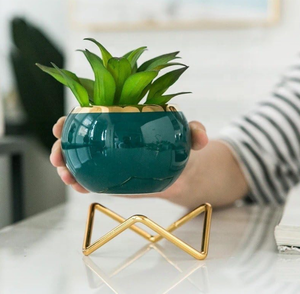 Vaso per <span class=keywords><strong>Piante</strong></span> Succulente in Ceramica Moderno e Carino con Struttura in Metallo, Elegante, Durevole ed Ecologico - Product Image 5