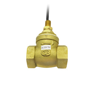 Interrupteur de débit d'eau en laiton de type déflecteur, interrupteur à lame contrôlé, monté horizontalement pour une utilisation avec une pompe à chaleur - Product Image 1