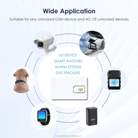 Tarjeta SIM IOT con Soporte Global 3G 4G para Walkie Talkie, Tarjetas SIM IOT 4G LTE Personalizadas de 30mb 300mb 800mb para Rastreador GPS y Router Wifi