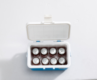 Glacière 8L Isoler les Boissons Plastique pour Camping Party Picnic Use Avec Grande Poignée
