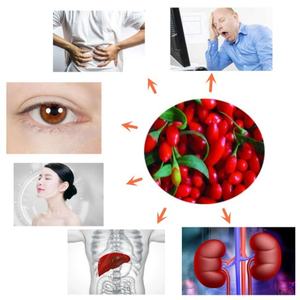 OEM Organic Freeze Dried Goji Berry Capsules Goji Berry Powder Goji Berries Extract - Product Image 2