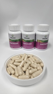 Complément alimentaire en gros : Capsules de Shatavari pures pour l'équilibre hormonal – Formule bien-être pour adultes - Product Image 2
