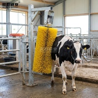 Ventes chaudes Brosse rotative automatique pour vache Brosse pour le corps de la vache avec moteur pour l'équipement d'élevage de bovins