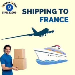 Transportista <span class=keywords><strong>Agente</strong></span> de envío de China a Francia EE. UU. Servicio logístico puerta a puerta Almacén local Ferrocarril Express Servicio Ddp - Product Image 5