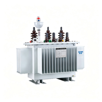Transformador de Distribución Sumergido en Aceite, Clase F, Aislamiento S13-M (F), Alta Sobrecarga, Totalmente Sellado, 100kVA 10kV