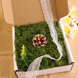 Plantas Decorativas Artificiales, Musgo y Césped para Arreglos de Micropaisajes, Bonsáis, Plantas en Maceta, Decoración Verde - Product Image 6