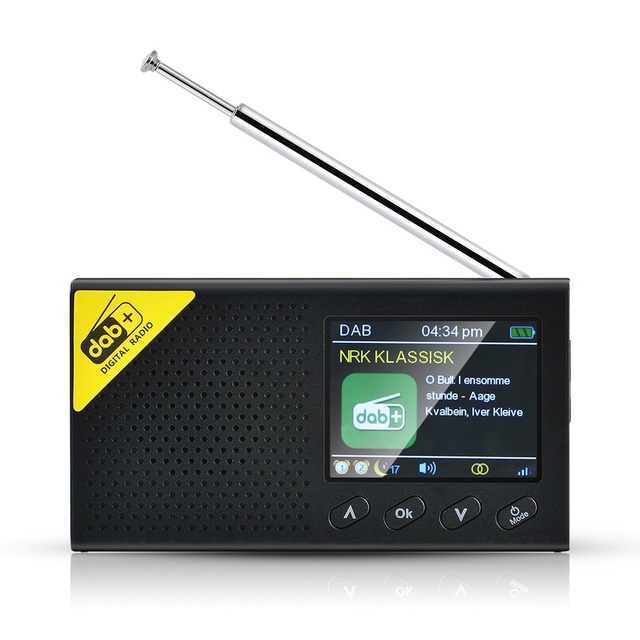 Portable Pocket Plastic LCD Color Screen DAB/DAB+ Radio with Rechargeable Battery Wireless BT Speaker Clock