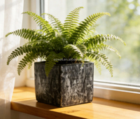 Pots de fleurs carrés texturés décoratifs pour petites plantes d'intérieur, décoration de bureau et de maison
