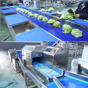 Machine automatique de découpe de salade de chicorée et de chou, lave-légumes centrifuge pour la ligne de production de salades - Product Image 2