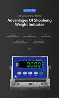 Báscula Colgante Dinámica de Alta Precisión SOHE B1S, 0-30 kg, Acero Inoxidable, Pantalla LED Azul, OEM/ODM, Comunicación RS232, Transferencia de Datos 1