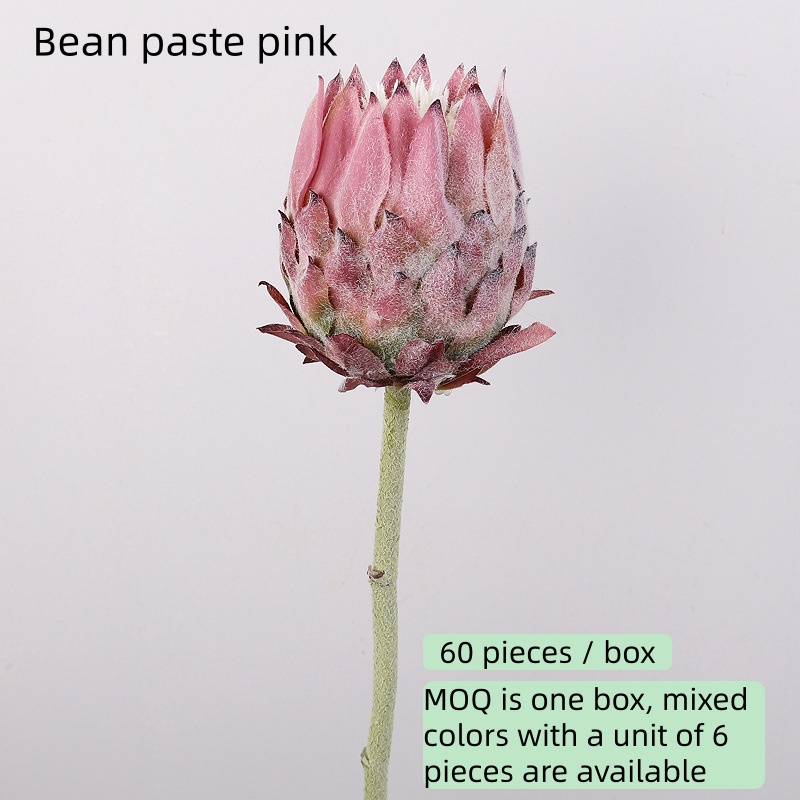 Pâte de haricots rose