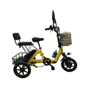 Scooter de mobilité pour adultes pour personnes âgées tricycles électriques pliants au lithium à prix d'usine
