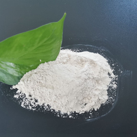 Poudre d'oxyde de magnésium en vrac RICI qualité agricole 85 poudre de mgo blanche magnésie calcinée caustique oxyde de magnésium