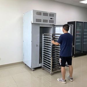 Competitive Price Vegetable Processing Machine Mushroom Slices Quick Freezing Shock Freezer - Product Image 1