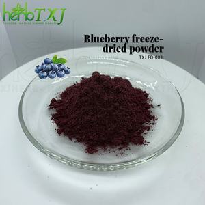 Poudre soluble dans l'eau de qualité alimentaire de fruit de myrtille d'approvisionnement d'usine OEM/poudre de béton de myrtille/poudre lyophilisée de myrtille - Product Image 5