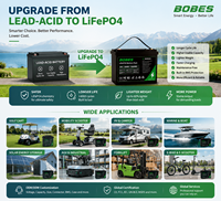 Batterie au lithium LiFePO4 haute performance 12V 24V, alternative au plomb-acide pour chariots de golf/UPS/utilisation marine