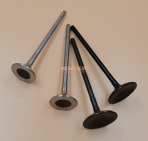Repuestos G10เครื่องยนต์ไอดีวาล์ว<span class=keywords><strong>ไอ</strong></span>เสียสำหรับ LDV SAIC มอเตอร์20L4E,G10อะไหล่รถยนต์ - Product Image 3