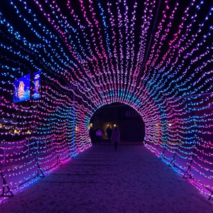 Großer Sternförmiger IP65 LED PVC-Tunnelbeleuchtungsbogen für Straßendekorationen mit Motivlichtern für Weihnachten & Halloween - Product Image 3