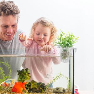 Support de pot de fleurs décoratif en plastique ABS moderne à 2 pièces, support de plantes d'<span class=keywords><strong>aquarium</strong></span> suspendu, support de plantes aquatiques vivantes, série 2190 - Product Image 5