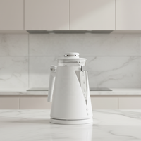 Bouilloires électriques portables pour l'eau et le thé, chauffe-eau, protection contre la surchauffe, verre borosilicate, acier inoxydable pour la maison/l'hôtel