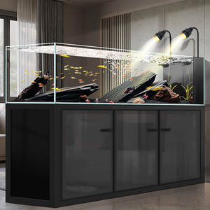 2026 חדש סִגְנוֹן סטרים צילינדר מסנן תחתון צדדי גלישה אקווריום אקווריום סלון זכוכית אולטרה לבנה אקו נוף גדול - Product Image 1