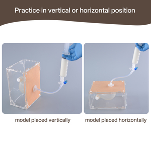 Modèle de gastrostomie et d'alimentation par sonde, simulation réaliste de <span class=keywords><strong>procédure</strong></span> PEG pour la formation médicale et infirmière - Product Image 3