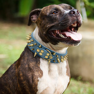 Collar de cuero con tachuelas para perros grandes, para <span class=keywords><strong>Pastor</strong></span> Alemán, mascarilla, Rottweiler, Bulldog - Product Image 6