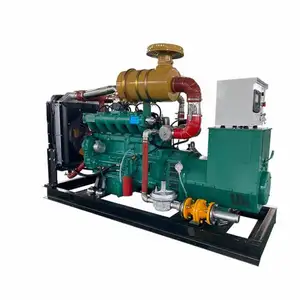 Generator gas alami 60KW/Biogas/LPG/Syngas/gas minyak/gas Batu Bara