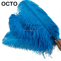Premium 60-65cm 24-26in Grandes plumes d'autruche rose fuchsia pour la décoration de fête de mariage