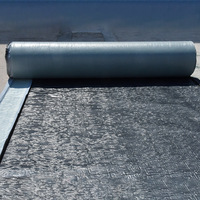 Isolation de toiture moderne à vente chaude, type PY, SBS, résistant à la chaleur, durable, auto-adhésif, bitume modifié aux polymères, imperméabilisation
