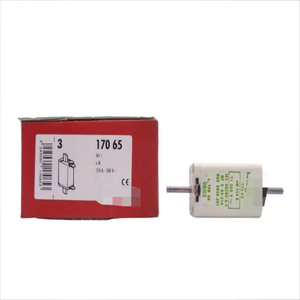 250A 17065 500โวลต์ (PKG of 3) nsmp ของแท้ของใหม่อุปกรณ์ควบคุมการเขียนโปรแกรม PLC โดยเฉพาะ - Product Image 1