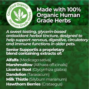 Suplemento Líquido de Cardo Mariano 100% Natural y Orgánico de Marca Privada OEM/ODM para Perros, Desintoxicación Hepática y Apoyo para Perros Mayores - Product Image 3