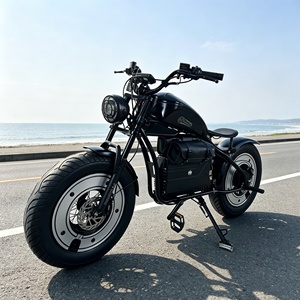 Oferta Especial: Motocicleta Eléctrica de 1500W con Motor sin Escobillas, Neumáticos Anchos, Doble Suspensión, Frenos de Disco Hidráulicos y Cuadro de Aluminio - Product Image 1