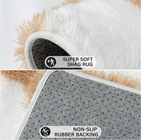 Tapis d'intérieur en fourrure pelucheuse à poils longs super doux, fabriqués à la machine, antidérapants, décoration de chambre à coucher