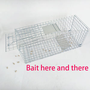 Piège à animaux vivants robuste et pliable pour chiens sauvages, renards, ratons laveurs, chats sauvages, lapins - Product Image 1